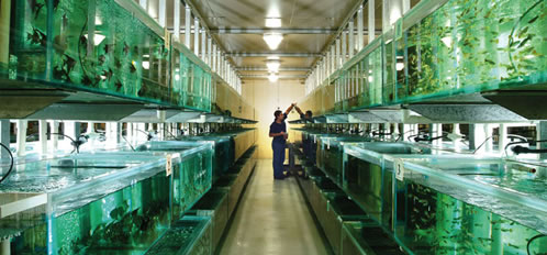 aquarium supplies wholesale